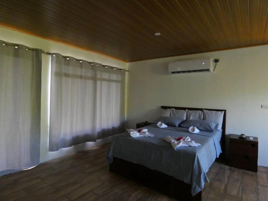Tapiru'S House - Bahia Drake Apartment Drake Bay Luaran gambar