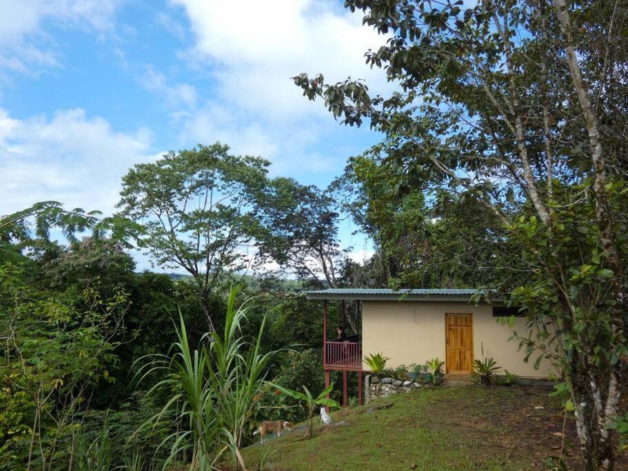 Tapiru'S House - Bahia Drake Apartment Drake Bay Luaran gambar