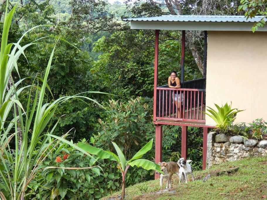 Tapiru'S House - Bahia Drake Apartment Drake Bay Luaran gambar