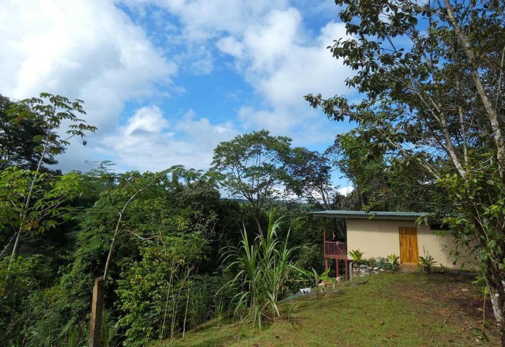 Tapiru'S House - Bahia Drake Apartment Drake Bay Luaran gambar