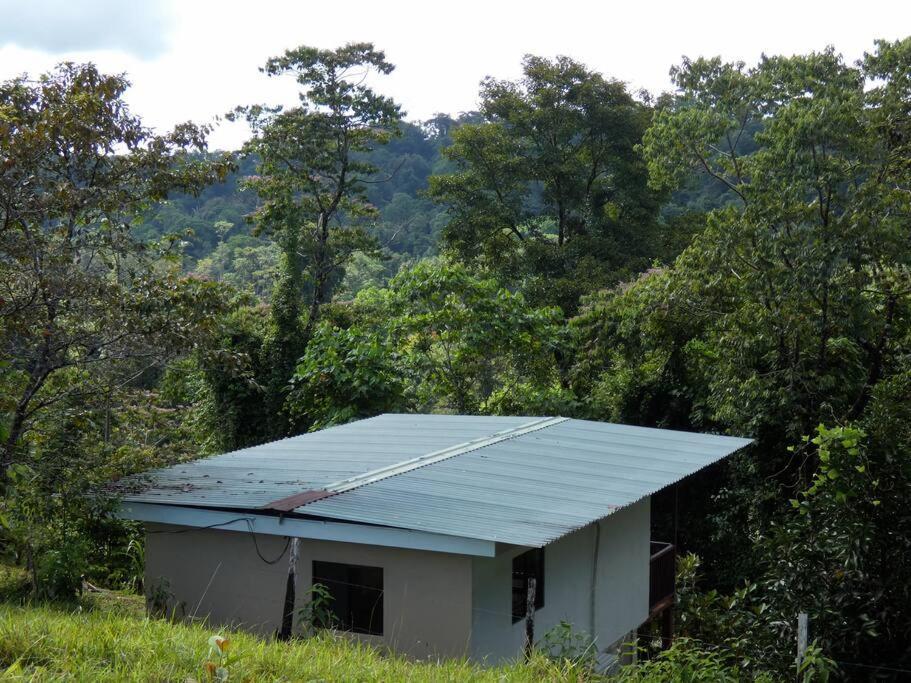 Tapiru'S House - Bahia Drake Apartment Drake Bay Luaran gambar